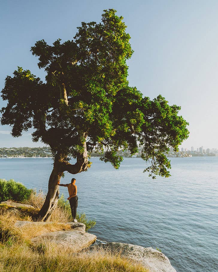Man standing beneath a lone tree staring at water by Anton Kollo Man standing beneath a lone tree staring at water by Anton Kollo | Nikon Cameras, Lenses & Accessories